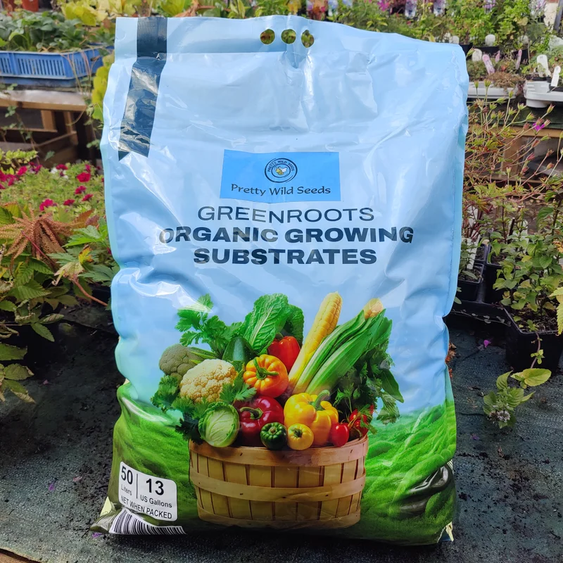 budgetseeds2955978