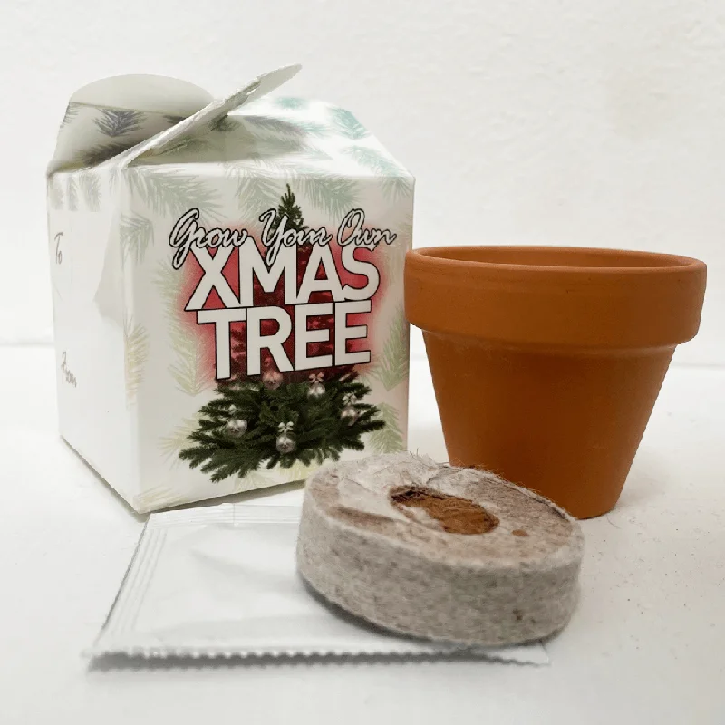 budgetseeds2956061