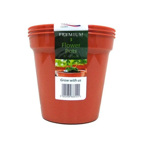 budgetseeds2956168
