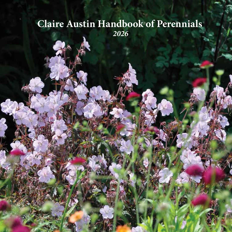 claireaustin-hardyplants2993388