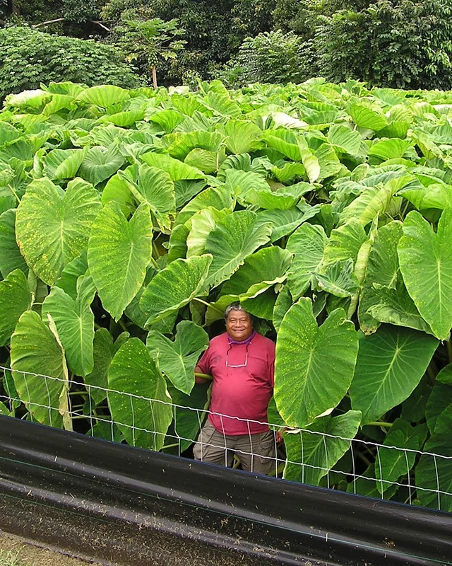 farmergracy2994939