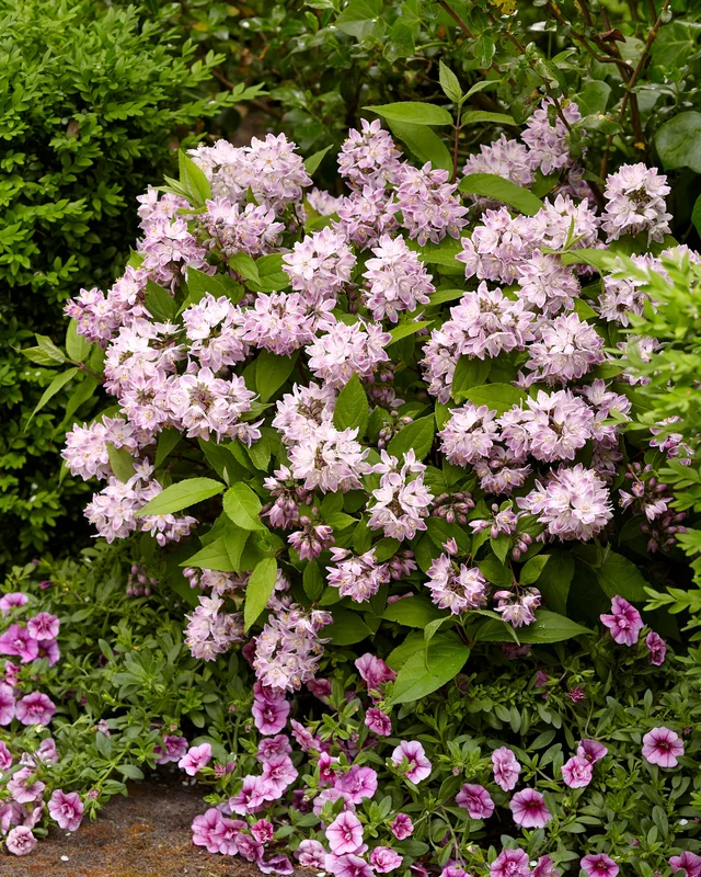 farmergracy3002249