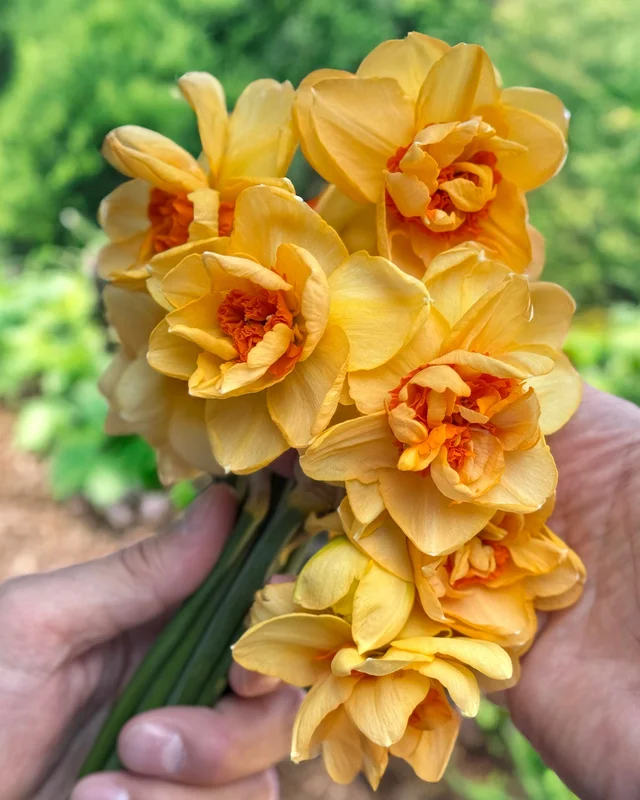 farmergracy3006851