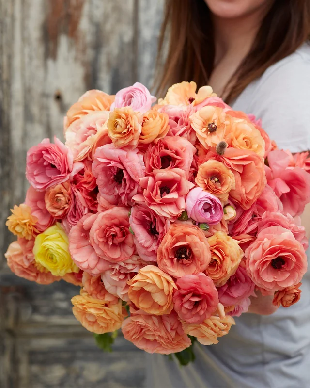 farmergracy3013847