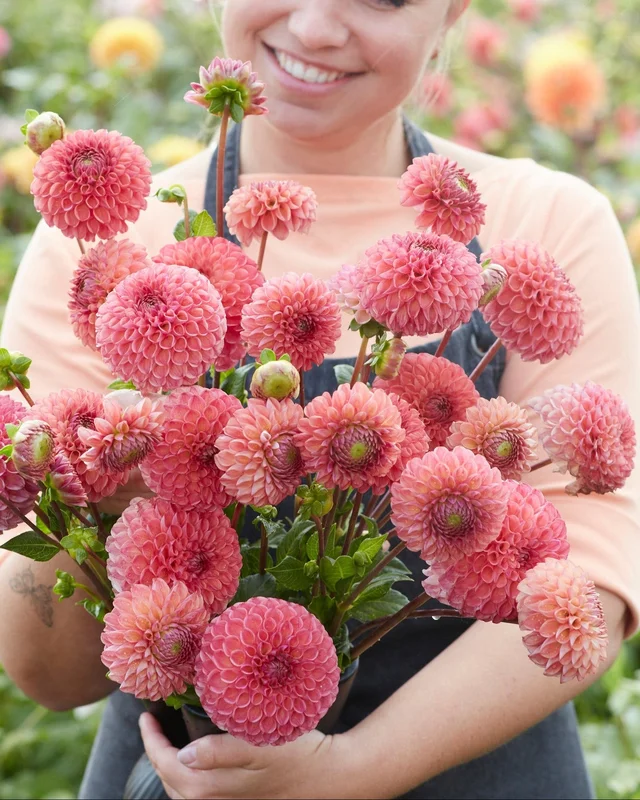 farmergracy3023212