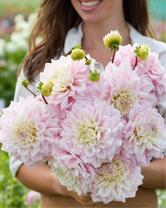 farmergracy3026249