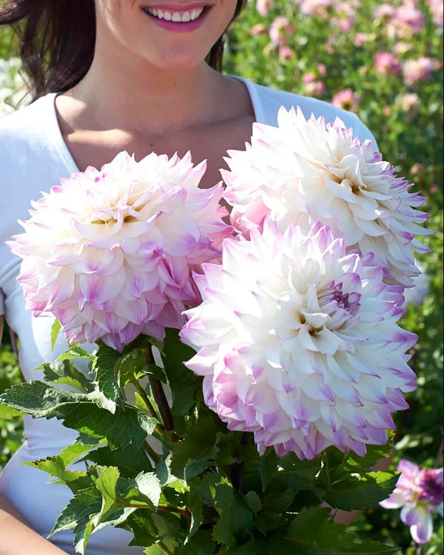 farmergracy3028500
