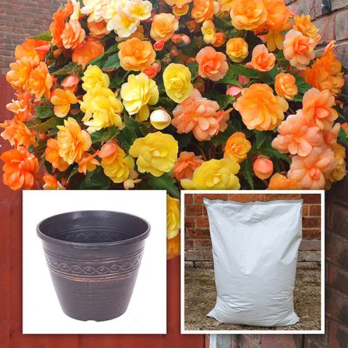 gardeningdirect2977060