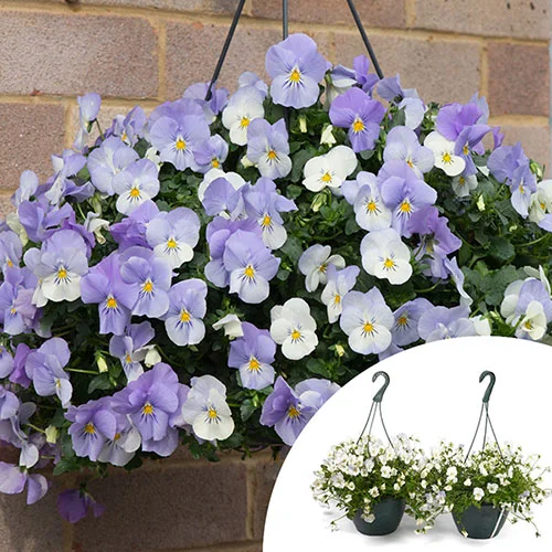 gardeningdirect2978110