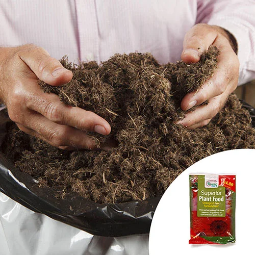 gardeningdirect2978884