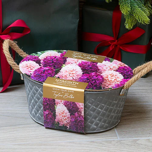 gardeningdirect2979972