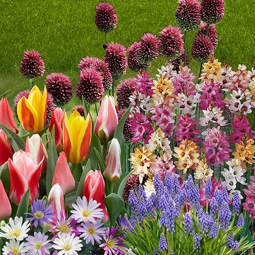 gardeningdirect2980026