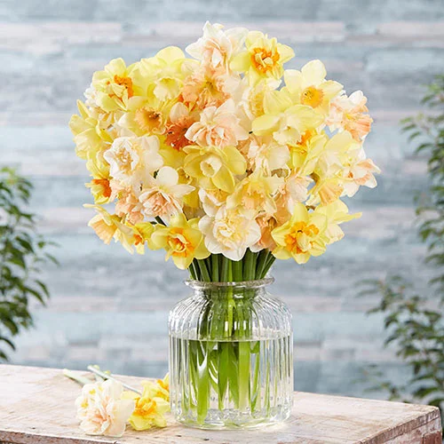 gardeningdirect2980923