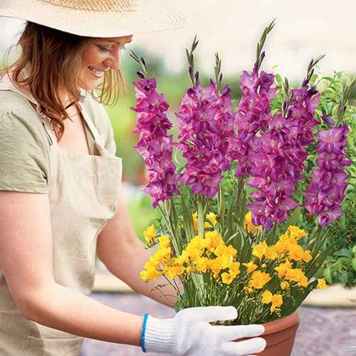 gardeningdirect2981652