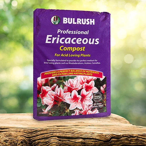 gardeningdirect2983305