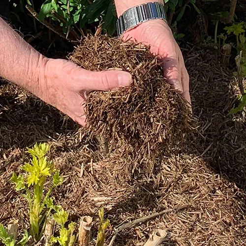 gardeningdirect2984041