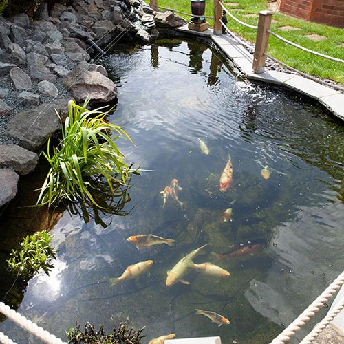 gardeningdirect2985004