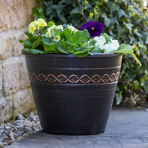gardeningdirect2985509