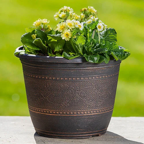 gardeningdirect2985601