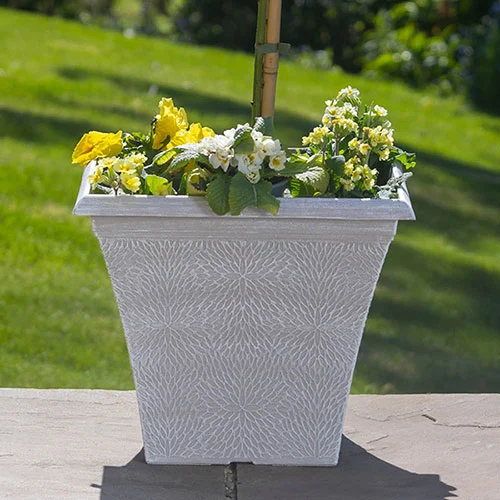 gardeningdirect2985878