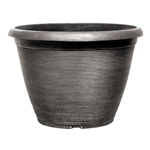 gardeningdirect2986093