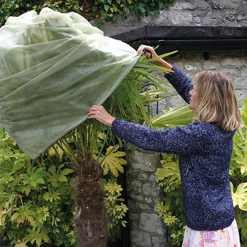 gardeningdirect2986207