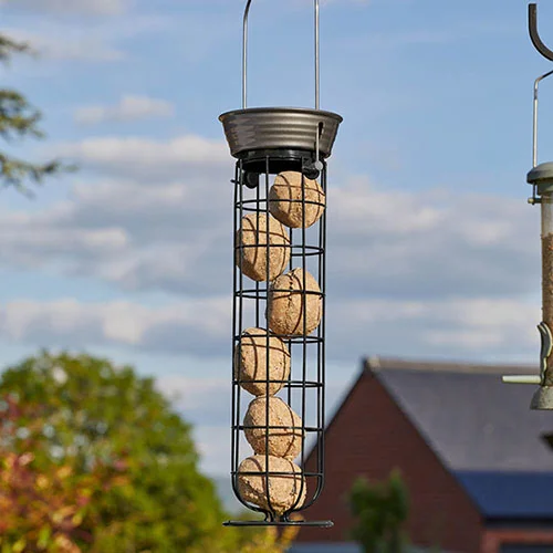 gardeningdirect2986390