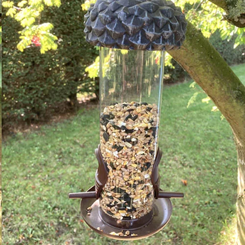 gardeningdirect2986436