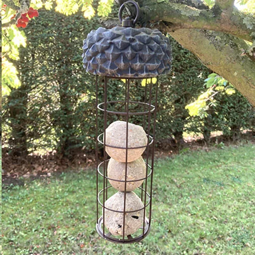 gardeningdirect2986460