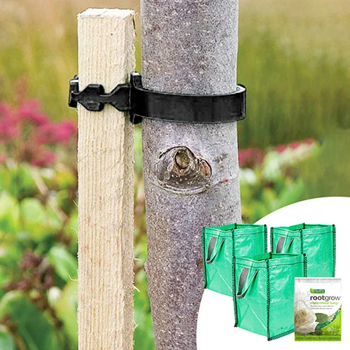 gardeningdirect2986515