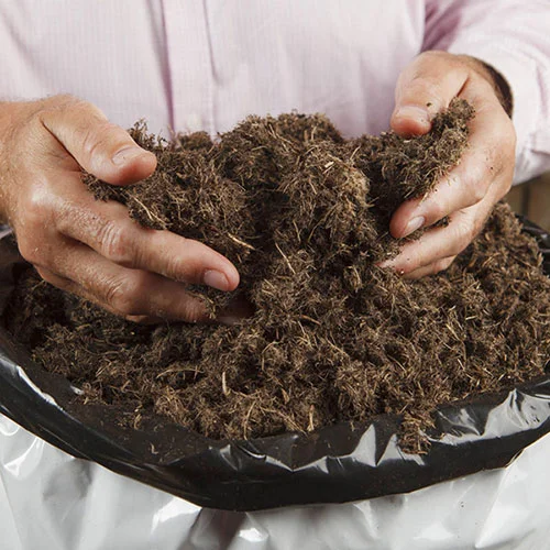 gardeningdirect2986697