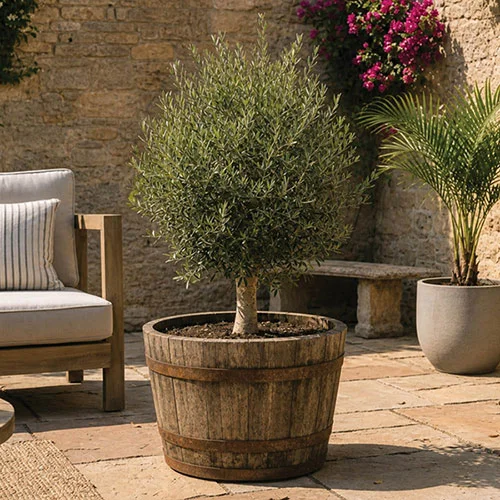 gardeningdirect2988646