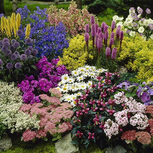 gardeningdirect2989427