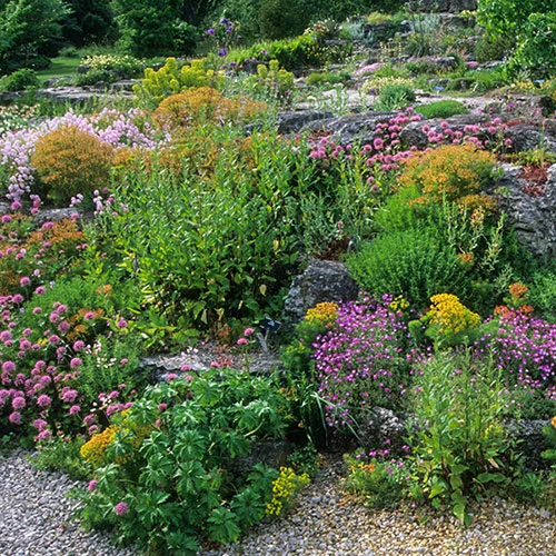 gardeningdirect2990534