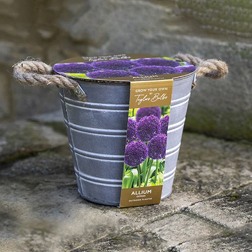gardeningdirect2997899