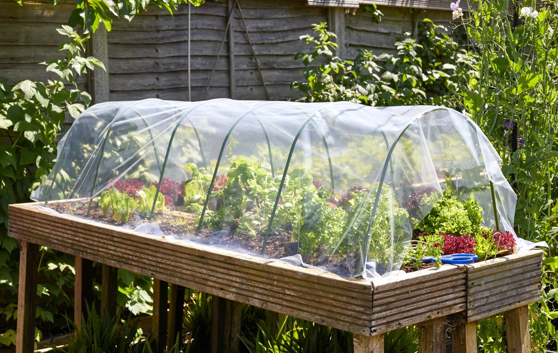 grasmerestaffs4432947