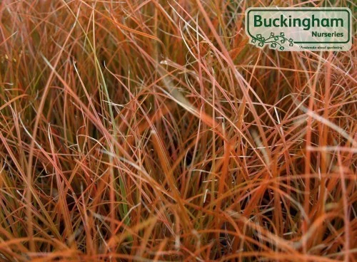 hedging4390218
