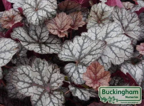 hedging4390851