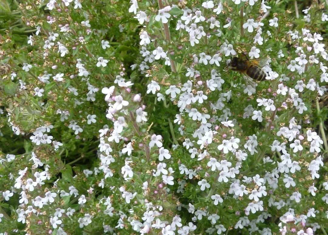 hedging4400221