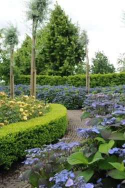 hedging4401429