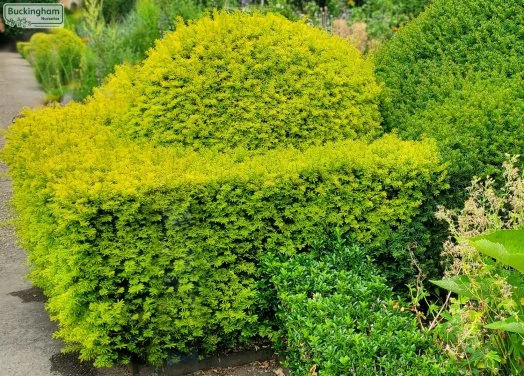 hedging4402317