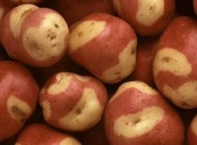 hedging4407179