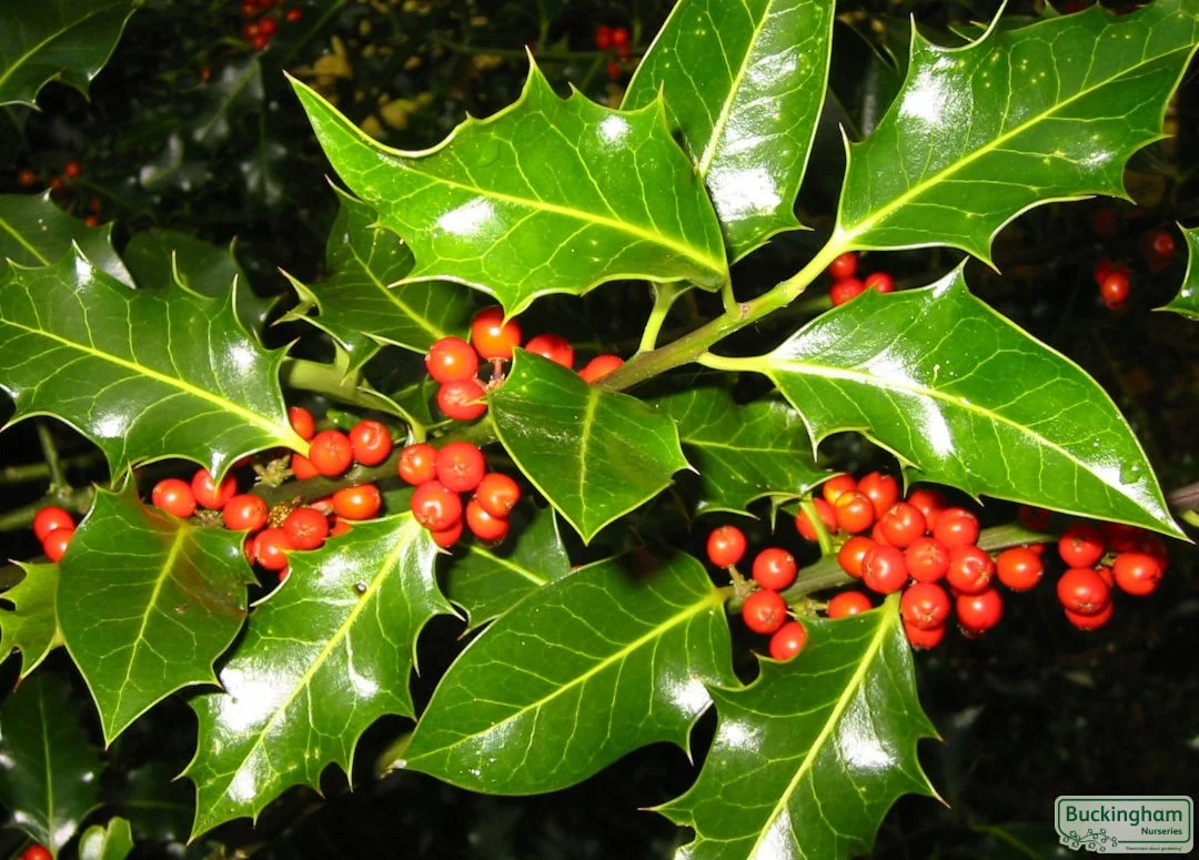 hedging4413348