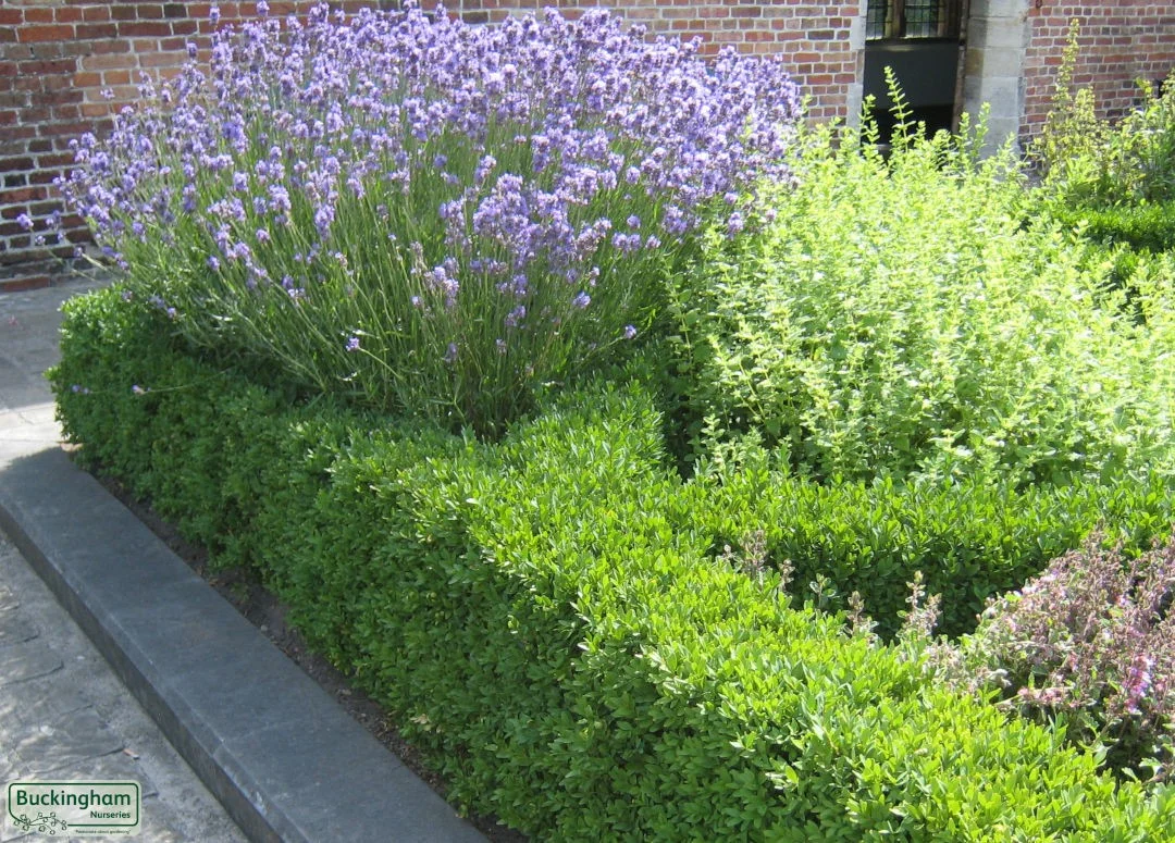 hedging4413717