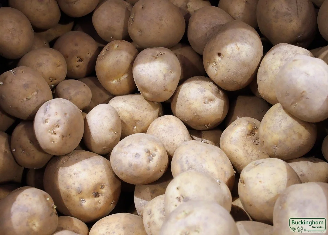 hedging4413748