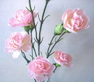 justartificial2944418