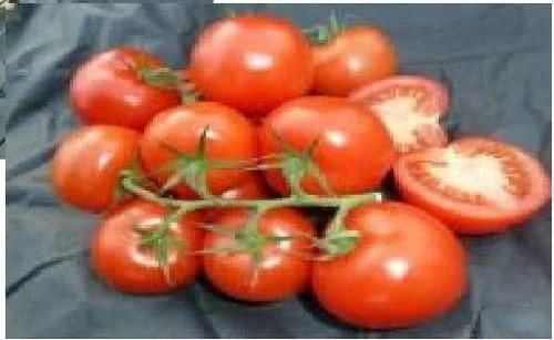 justseed2961344