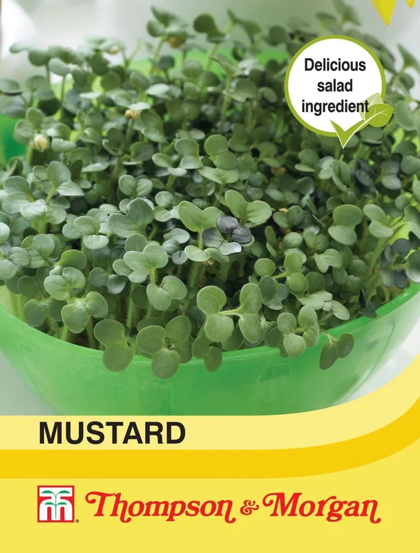 justseed2962635
