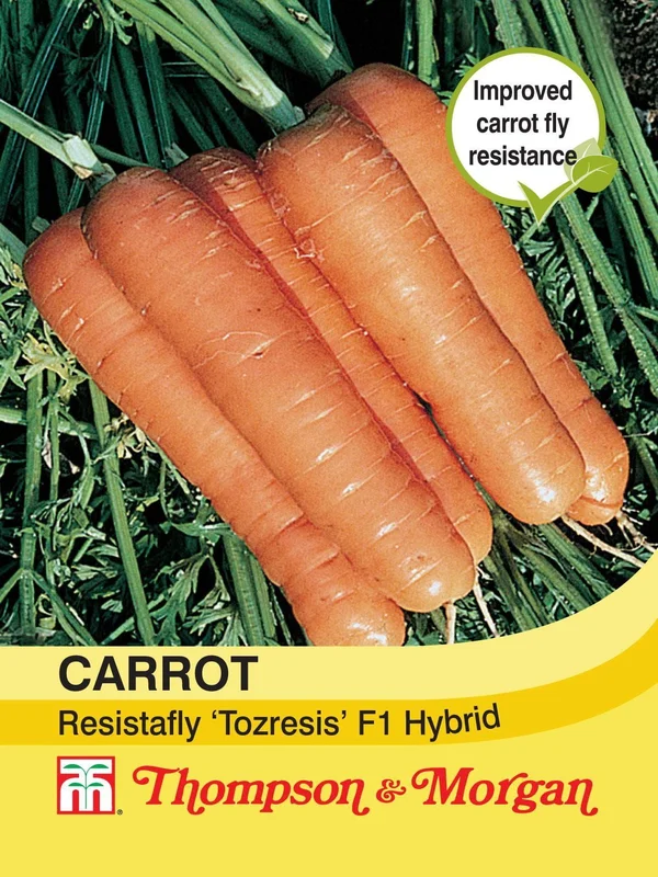 justseed2962751