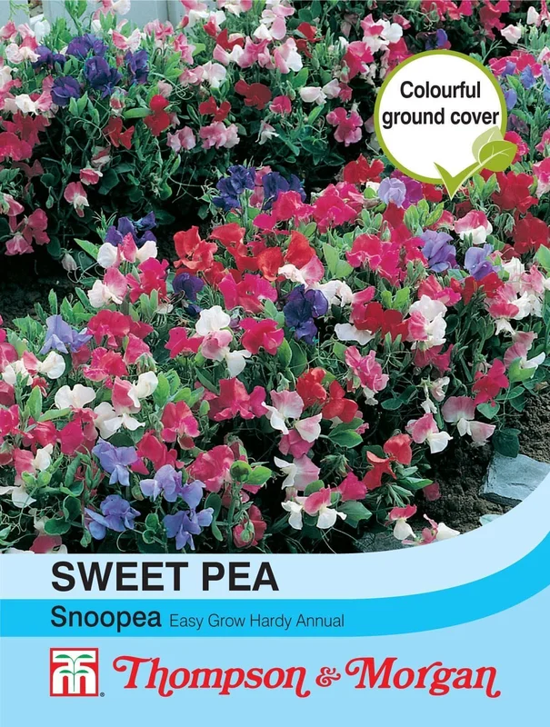 justseed2964000